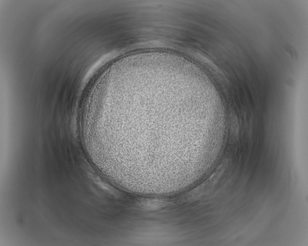 X0000113011278200909241344