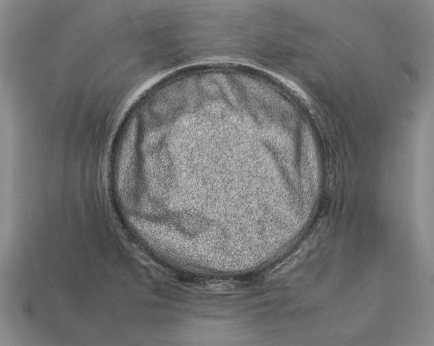 X0000113011279200909241344