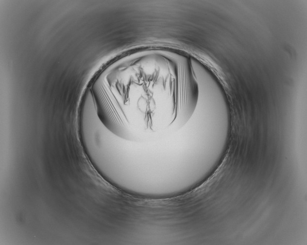 X0000113011280200909241344