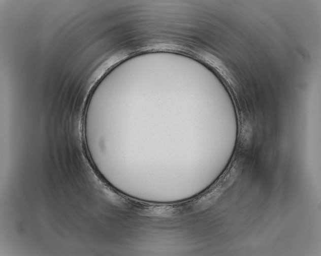 X0000113011282200909241344