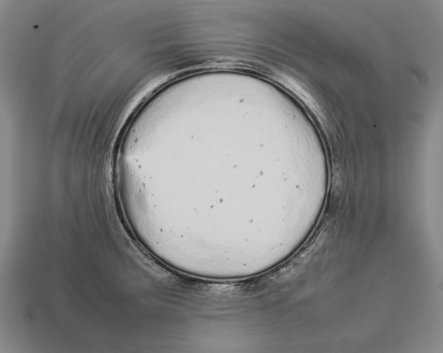 X0000113011283200909241344