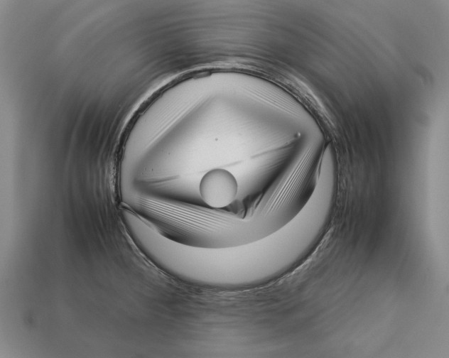 X0000113011284200909241344