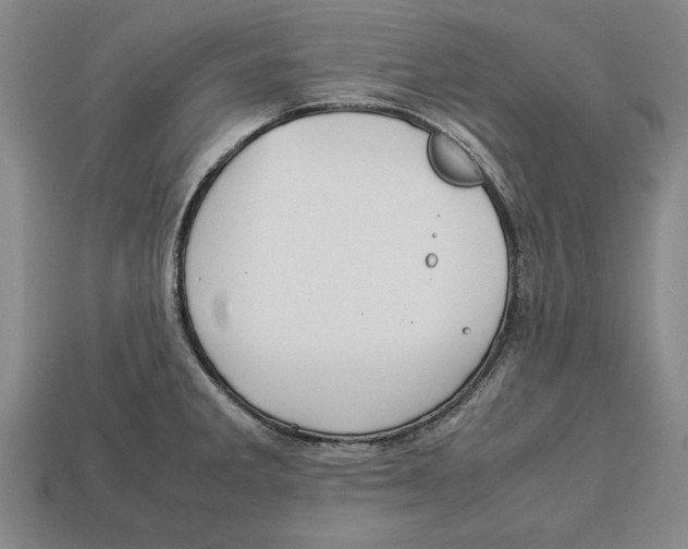 X0000113011285200909241344