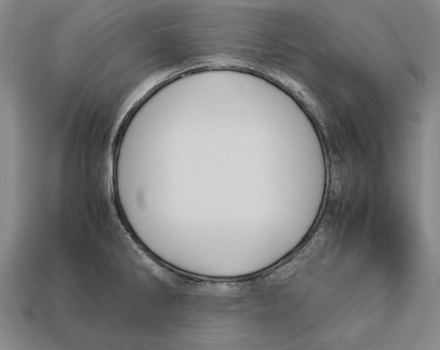 X0000113011286200909241344