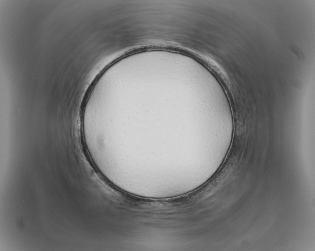 X0000113011287200909241344