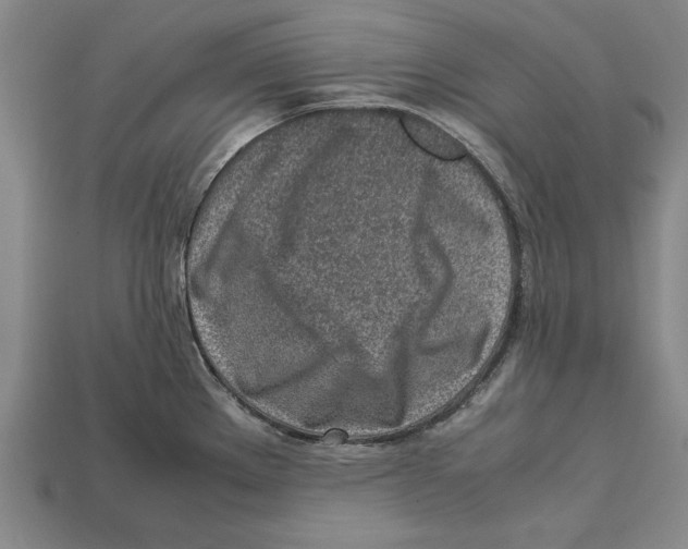 X0000113011289200909241344