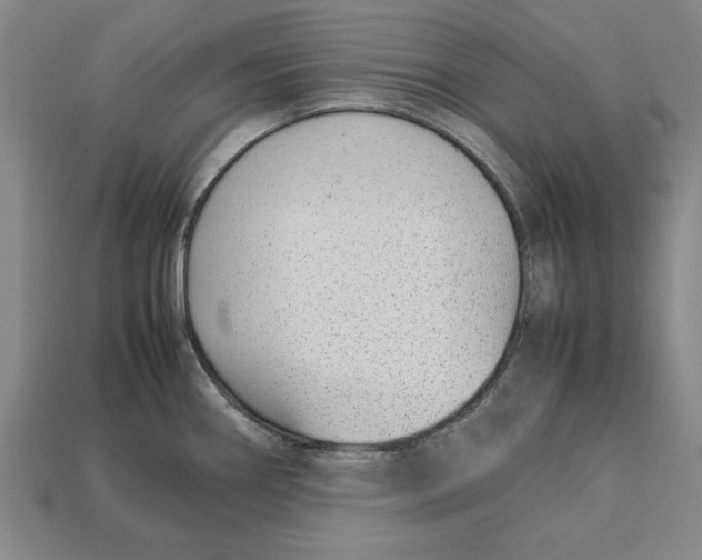 X0000113011290200909241344