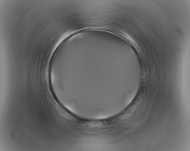 X0000113011291200909241344