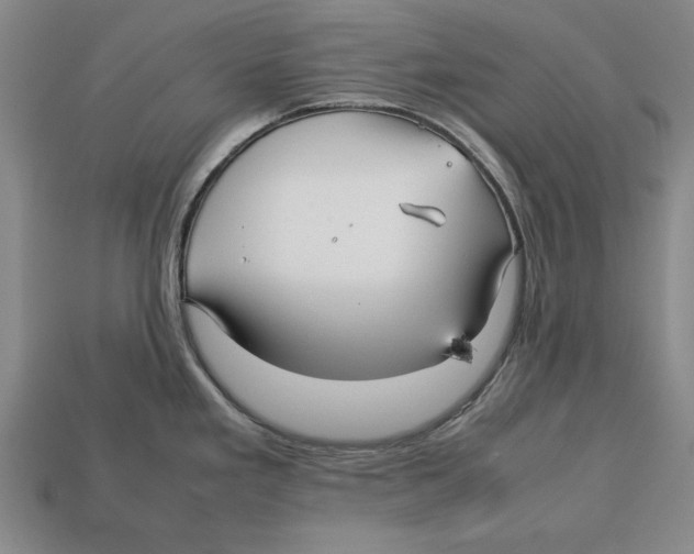 X0000113011293200909241344