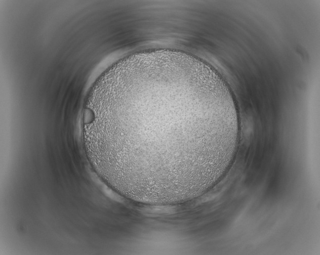 X0000113011294200909241344