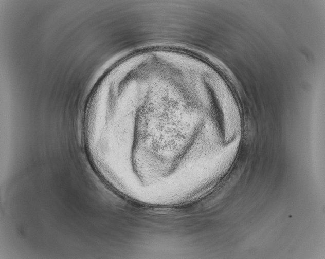 X0000113011295200909241344