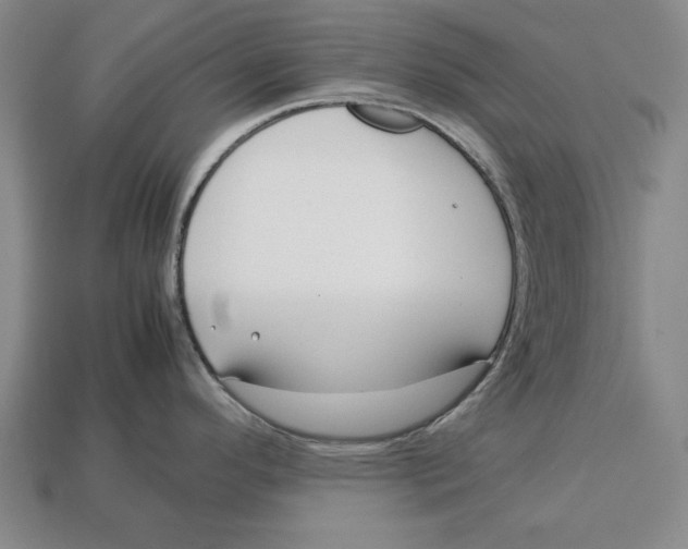 X0000113011296200909241344