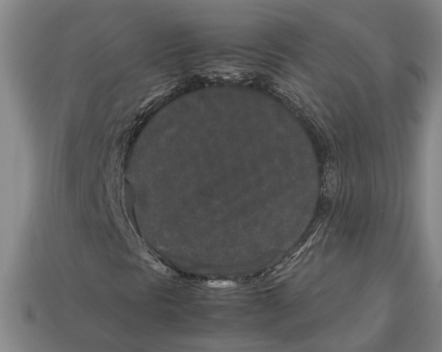 X0000113011297200909241343