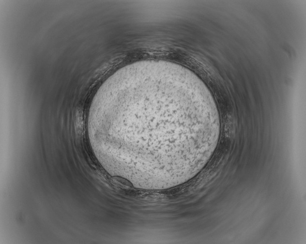X0000113011298200909241343