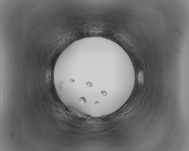 X0000113011299200909241343