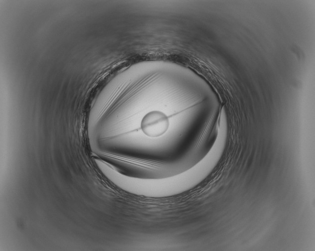 X0000113011300200909241343