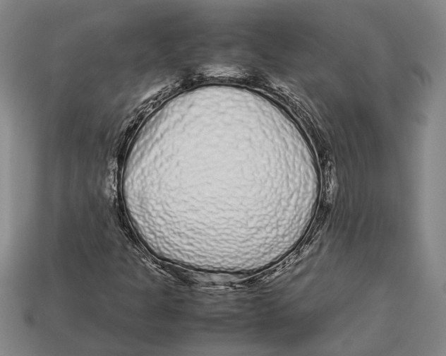 X0000113011301200909241343