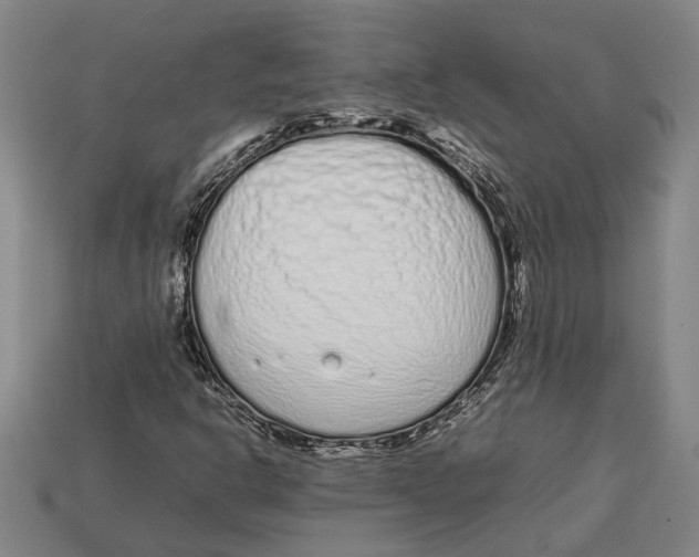 X0000113011302200909241343