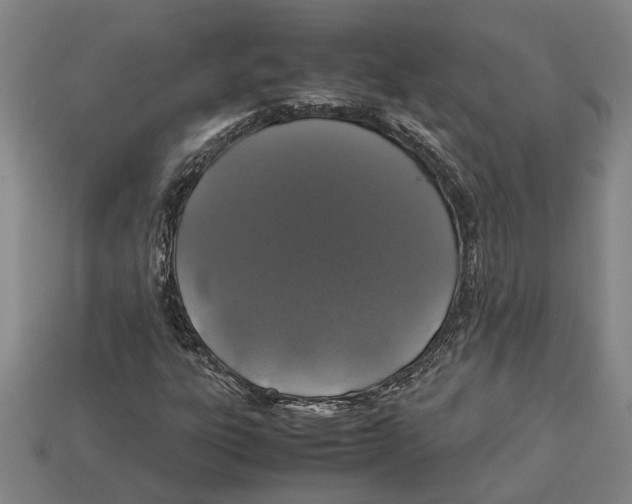X0000113011303200909241343