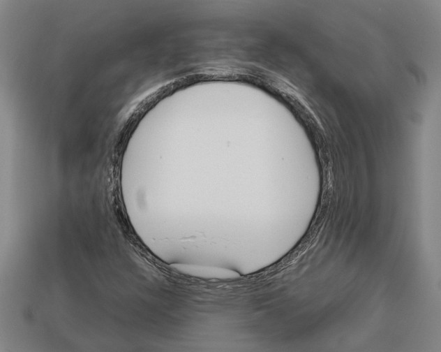X0000113011304200909241343