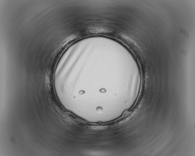 X0000113011305200909241343