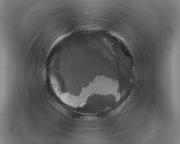 X0000113011306200909241343