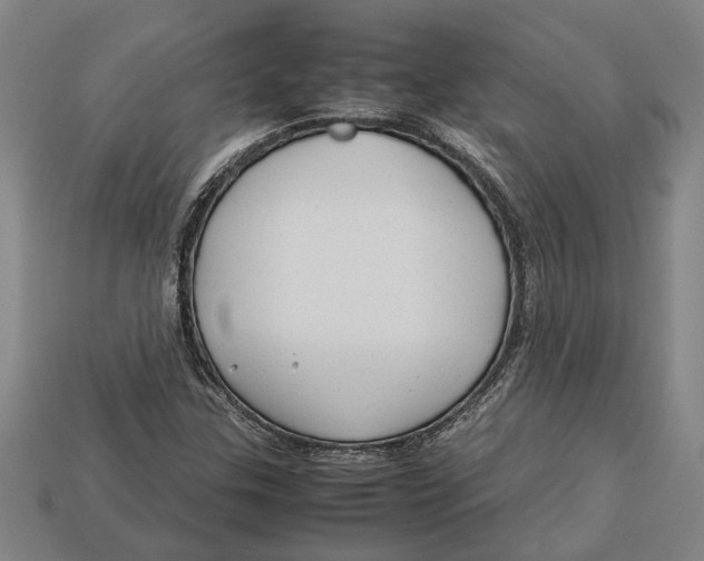 X0000113011307200909241343