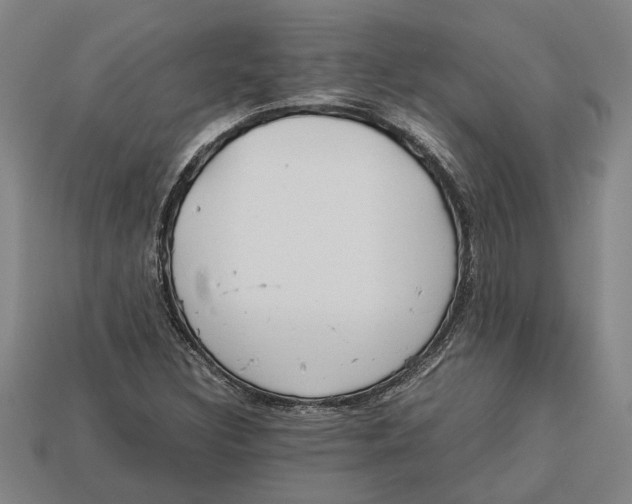 X0000113011308200909241343
