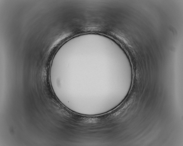 X0000113011309200909241343