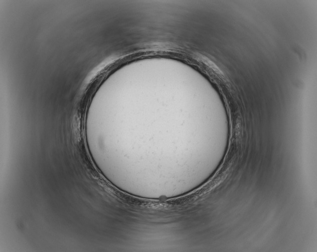 X0000113011310200909241343