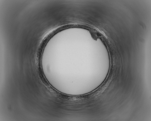 X0000113011311200909241343