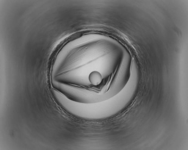 X0000113011312200909241343