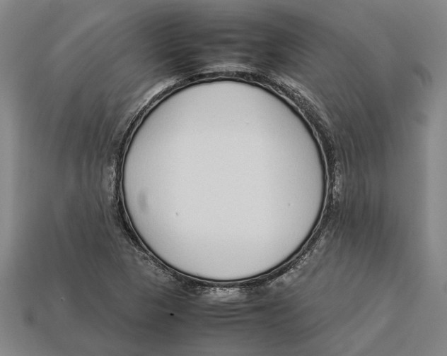 X0000113011313200909241343
