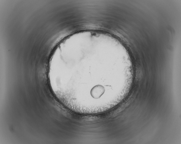 X0000113011314200909241343