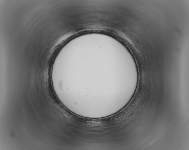 X0000113011315200909241343