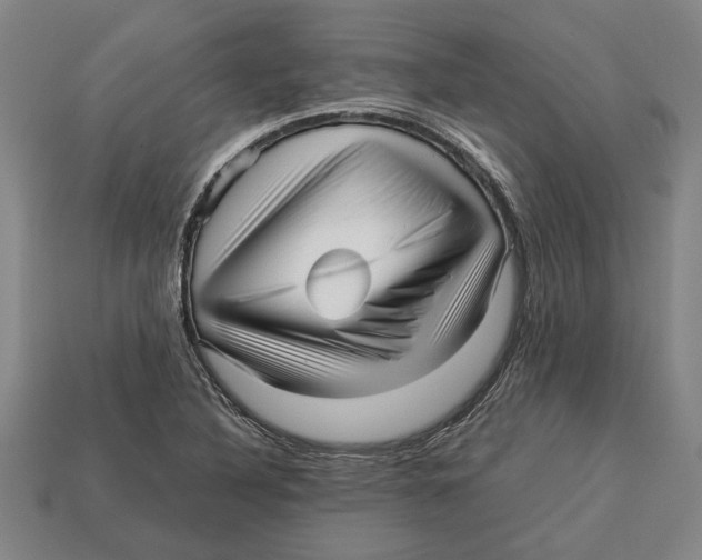 X0000113011316200909241343
