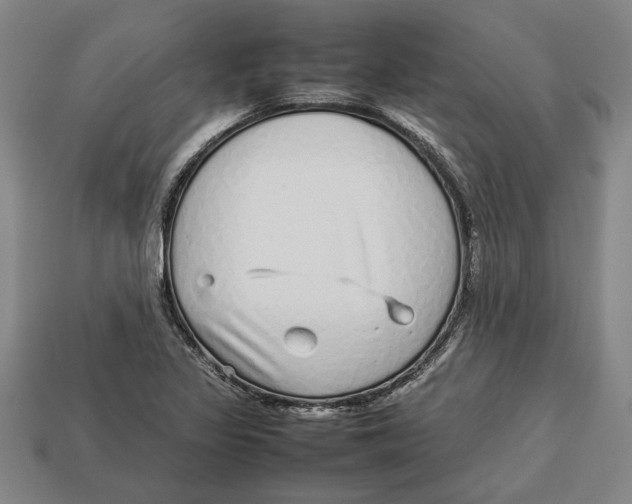 X0000113011317200909241343