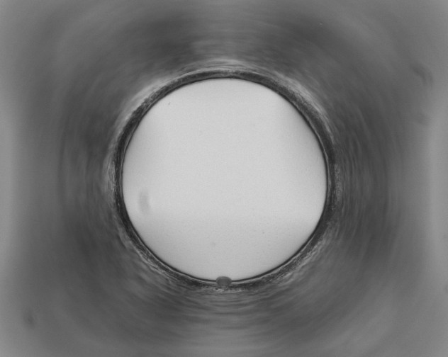 X0000113011318200909241343