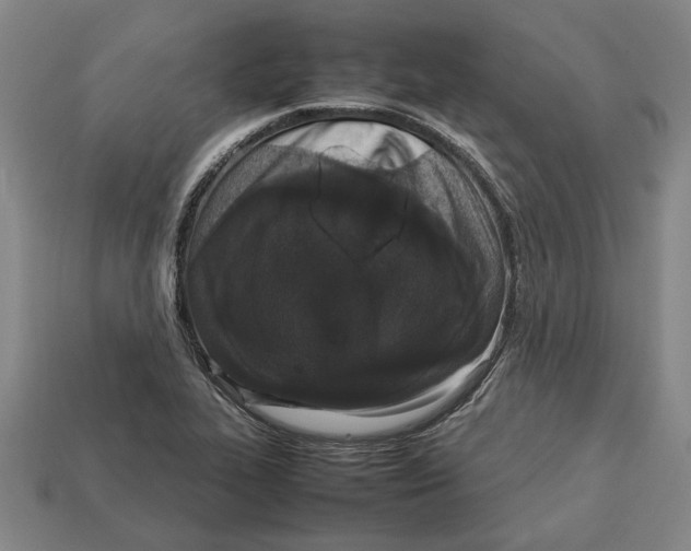 X0000113011319200909241343