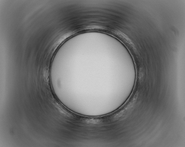 X0000113011321200909241343