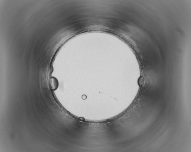 X0000113011322200909241343