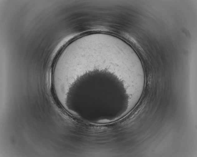 X0000113011323200909241343