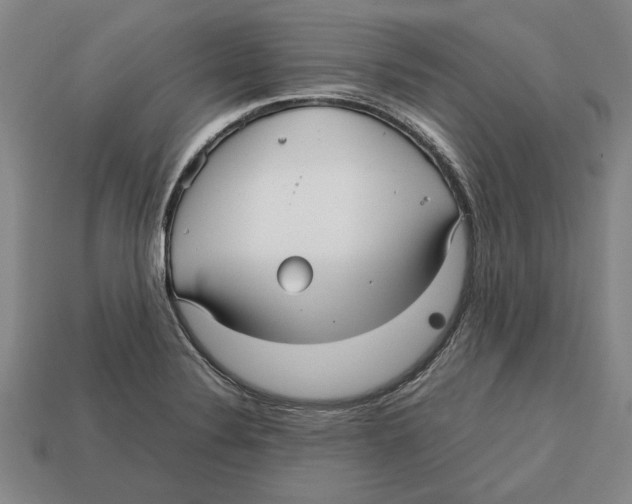X0000113011324200909241343