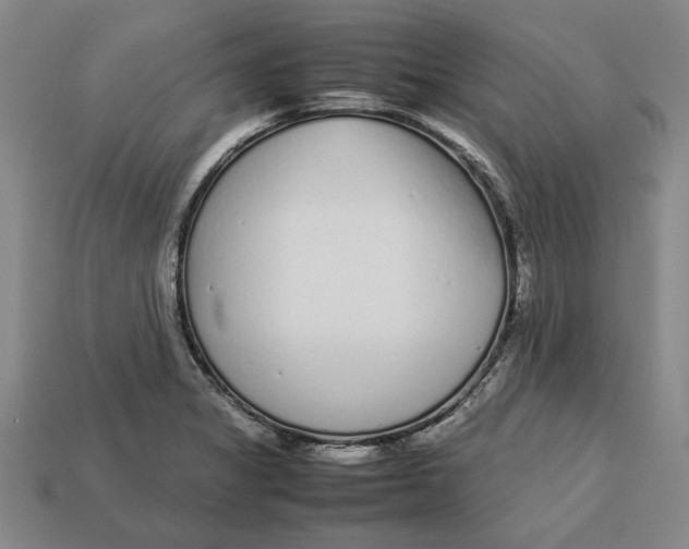 X0000113011325200909241343