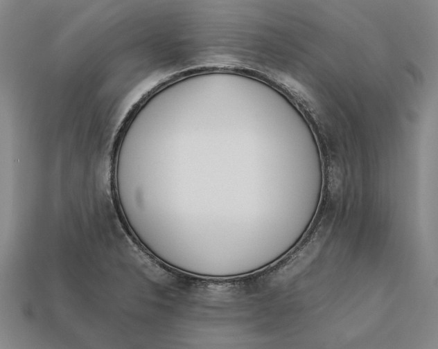 X0000113011326200909241343