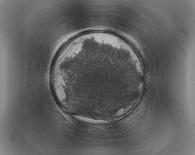X0000113011327200909241343