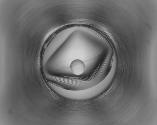 X0000113011328200909241344