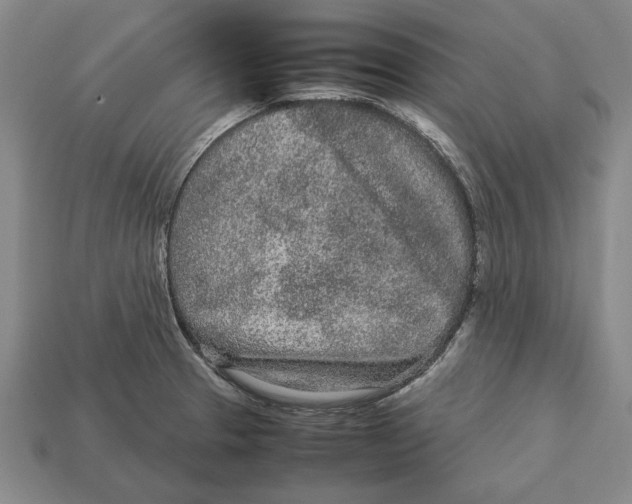 X0000113011329200909241344