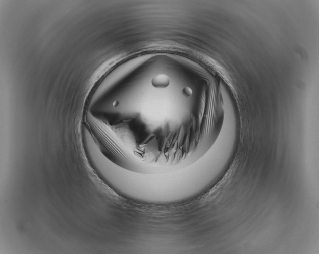 X0000113011330200909241344
