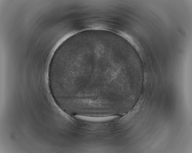 X0000113011331200909241344